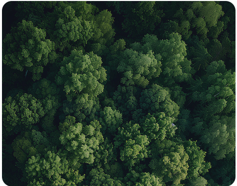 Our Sakon Commitment