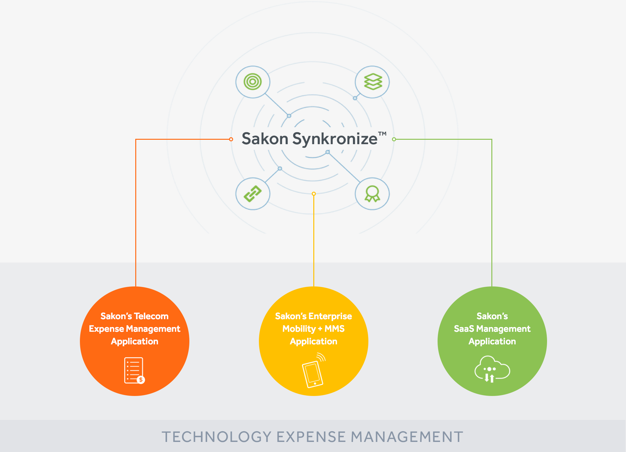 tem-infographic tem-infographic